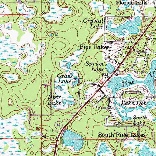 Topographic Map of Grass Lake, FL