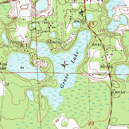 Topographic Map of Grass Lake, FL