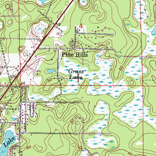 Topographic Map of Grass Lake, FL