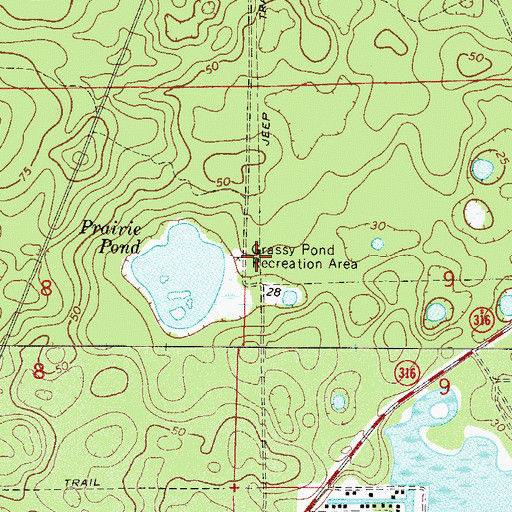 Topographic Map of Grassy Pond Recreation Area, FL