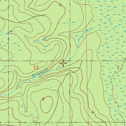 Topographic Map of Gully Branch, FL