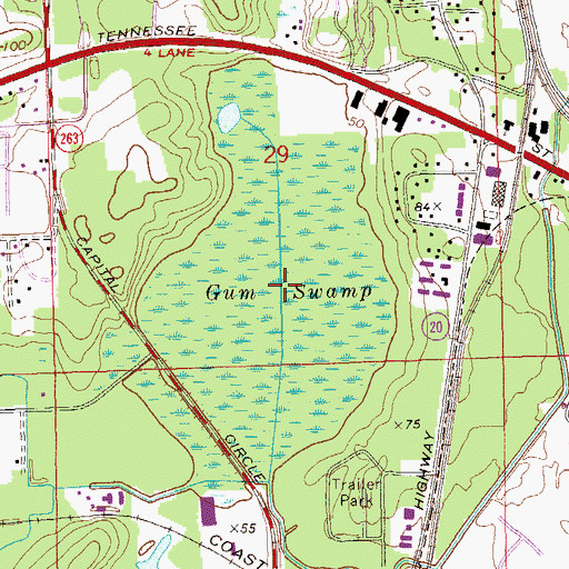 Topographic Map of Gum Swamp, FL