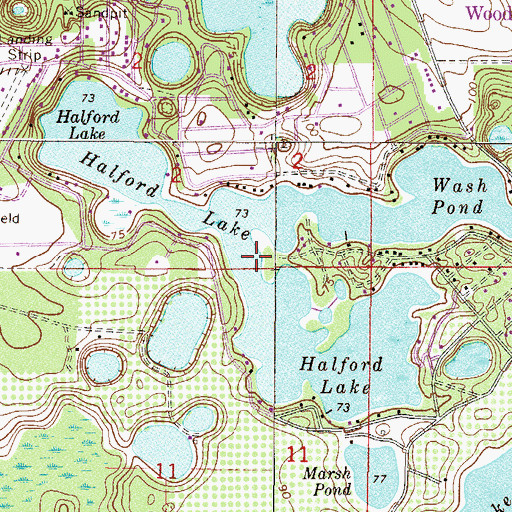 Topographic Map of Halford Lake, FL