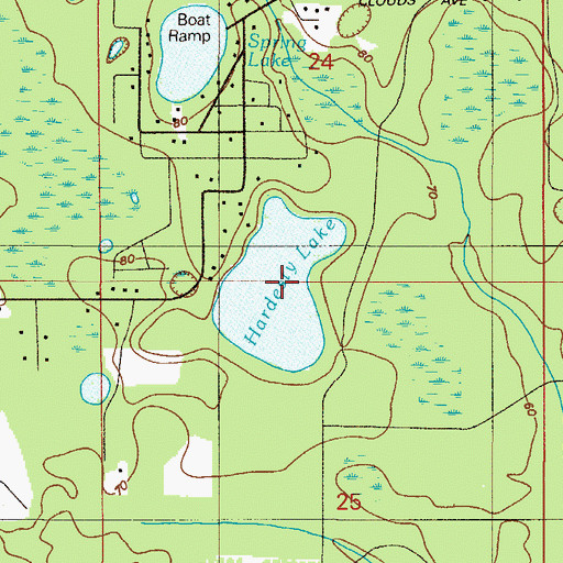 Topographic Map of Hardesty Lake, FL