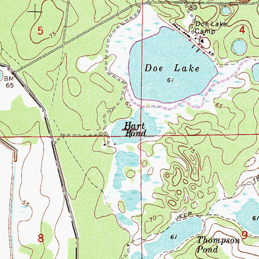 Topographic Map of Hart Pond, FL