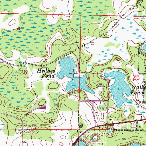Topographic Map of Hedges Pond, FL