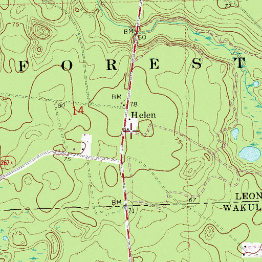 Topographic Map of Helen, FL
