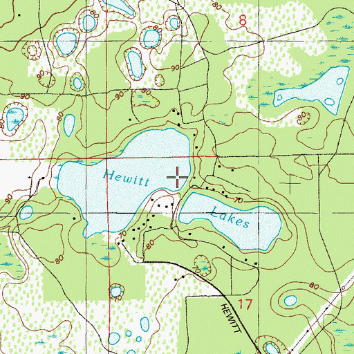 Topographic Map of Hewitt Lakes, FL