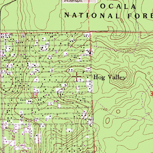 Topographic Map of Hog Valley, FL