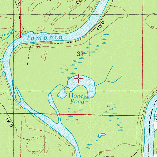 Topographic Map of Honey Pond, FL