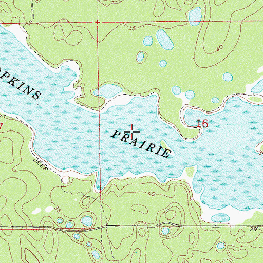 Topographic Map of Hopkins Prairie, FL