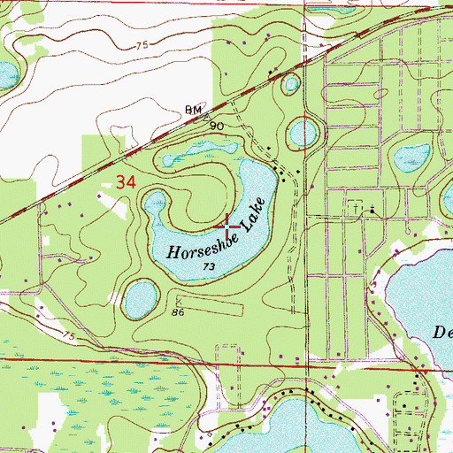 Topographic Map of Horseshoe Lake, FL