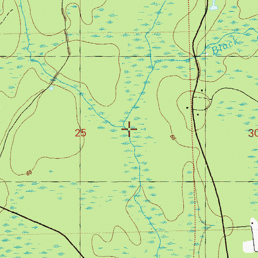 Topographic Map of Hostage Branch, FL