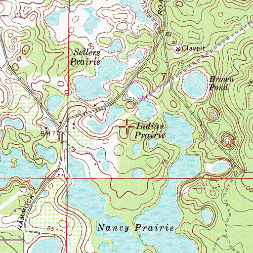 Topographic Map of Indian Prairie, FL