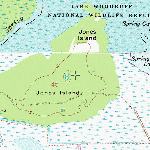 Topographic Map of Jones Island, FL