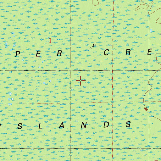 Topographic Map of Juniper Creek Islands, FL