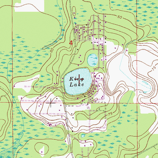 Topographic Map of King Lake, FL