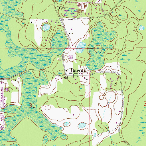 Topographic Map of Lacota, FL