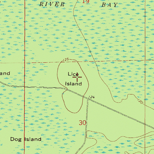 Topographic Map of Lice Island, FL