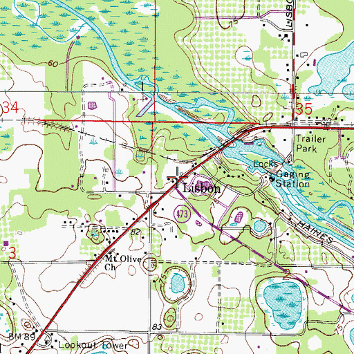 Topographic Map of Lisbon, FL