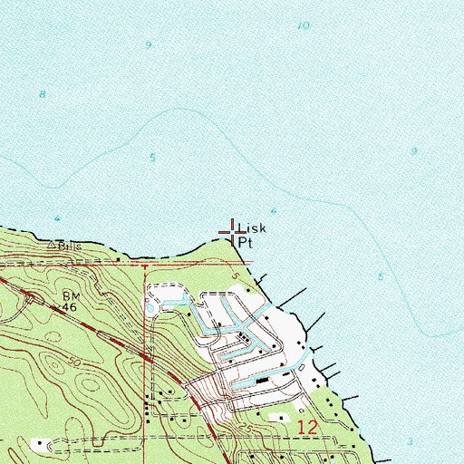 Topographic Map of Lisk Point, FL