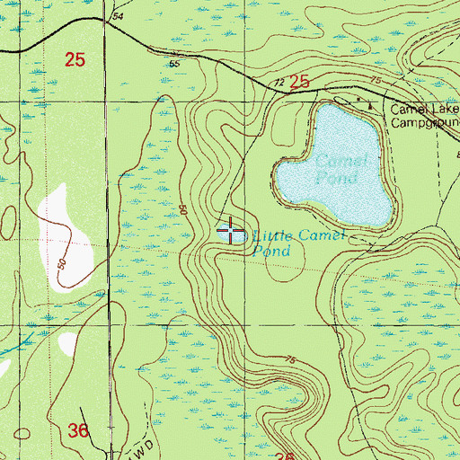 Topographic Map of Little Camel Pond, FL