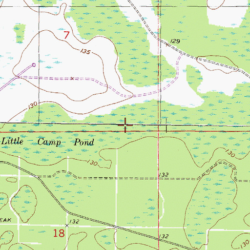 Topographic Map of Little Camp Pond, FL