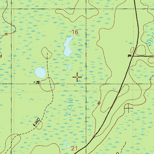 Topographic Map of Low Bay, FL