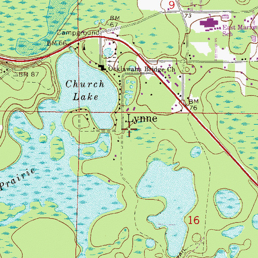 Topographic Map of Lynne, FL
