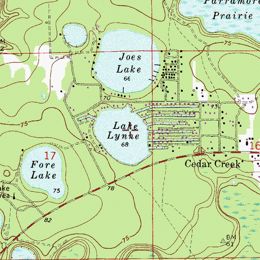 Topographic Map of Lake Lynne, FL