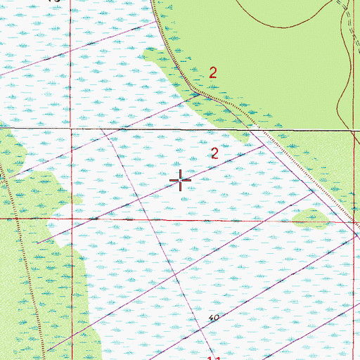 Topographic Map of Marshall Swamp, FL