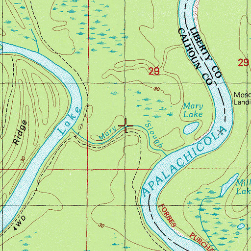 Topographic Map of Mary Slough, FL