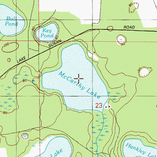 Topographic Map of McCarthy Lake, FL