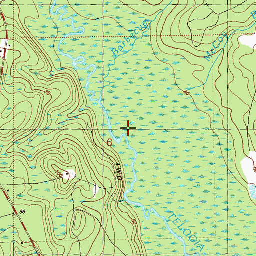 Topographic Map of McCoy Branch, FL