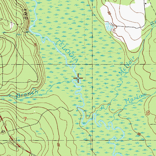 Topographic Map of McNair Branch, FL