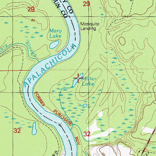 Topographic Map of Miller Lake, FL