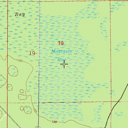 Topographic Map of Moccasin Bay, FL