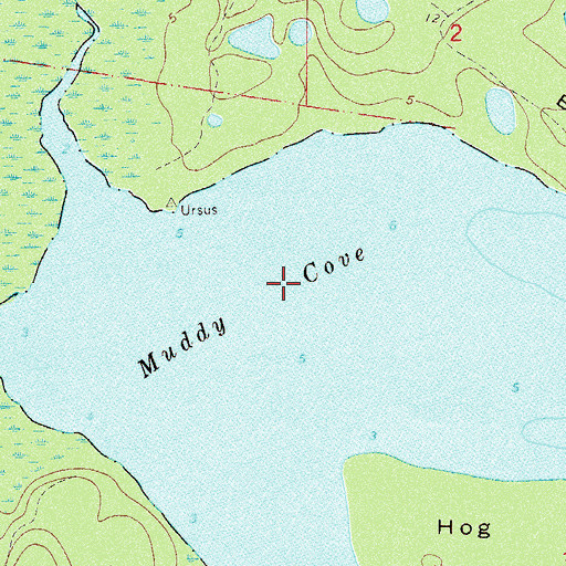 Topographic Map of Muddy Cove, FL