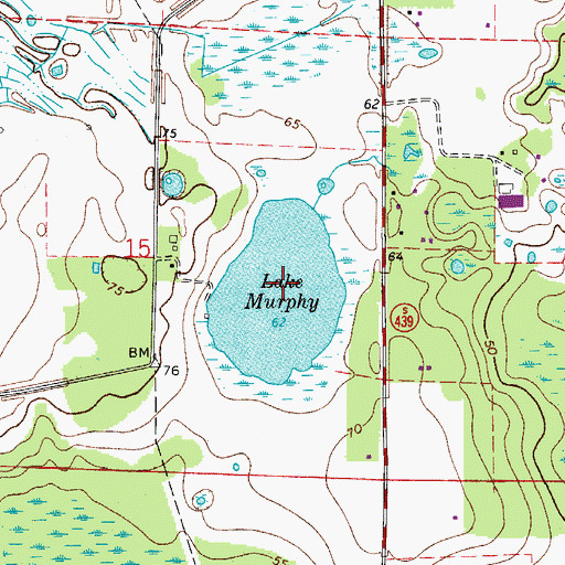 Topographic Map of Lake Murphy, FL
