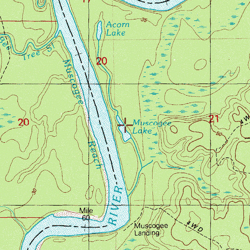 Topographic Map of Muscogee Lake, FL