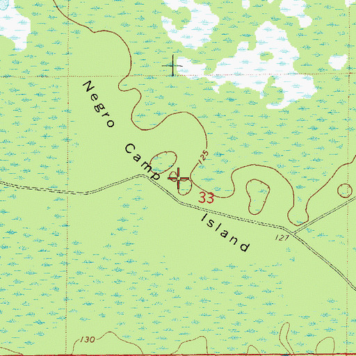 Topographic Map of Negro Camp Island, FL