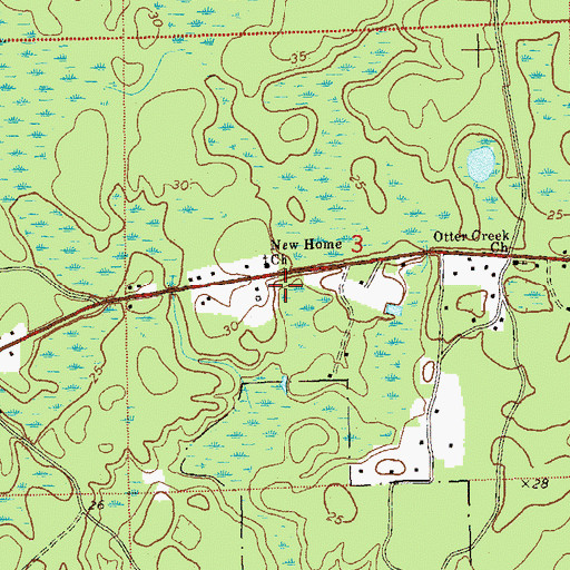 Topographic Map of New Home Church, FL