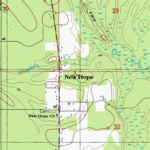 Topographic Map of New Hope, FL