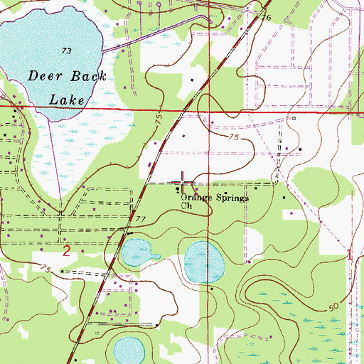 Topographic Map of Orange Springs Church (historical), FL