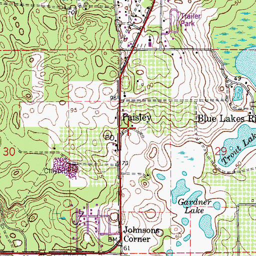 Topographic Map of Paisley, FL