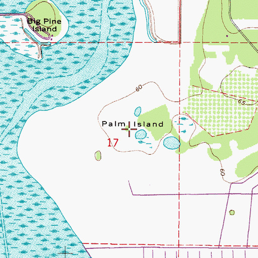 Topographic Map of Palm Island, FL