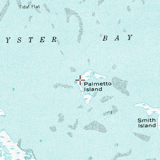 Topographic Map of Palmetto Island, FL