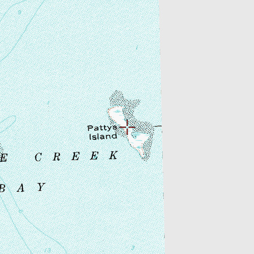 Topographic Map of Pattys Island, FL