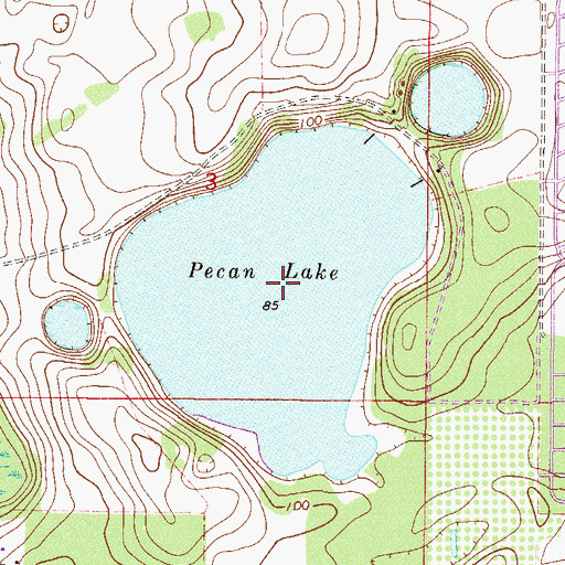 Topographic Map of Pecan Lake, FL