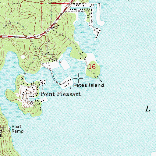 Topographic Map of Petes Island, FL